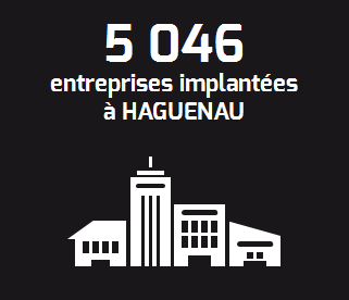 infographie-hageunau